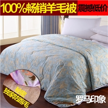 无绗缝】100%羊毛被新工艺防跑毛保暖冬被家纺床品厂家批发被子