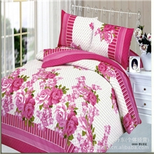 大量供应床上用品桃皮绒泡泡棉印花四件套2013年新款样品