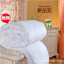 供应优质秋冬被学生高档秋冬被品牌正品秋冬被批发双人秋冬被