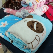卡通新款秋冬毛毯批发成人加厚毛巾被毯绒毯子盖毯厂家