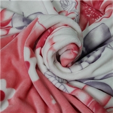 毛毯批发床单超柔毛毯子双绒加厚批发金貂绒毯订做毛毯