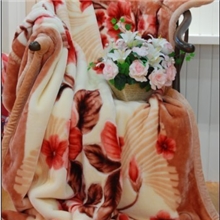 厂价直销2013最新款式双层超柔加大加厚拉舍尔毛毯