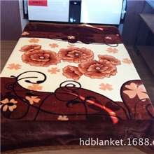 厂价直销超柔欧式风格双层加大加宽拉舍尔毛毯