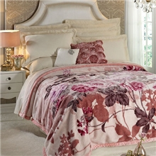 红豆毛毯工厂-专业生产高档超柔双层印花拉舍尔毛毯，亚克力毛毯