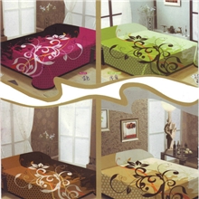 供应高档超柔双层印花拉舍尔毛毯，亚克力毛毯，红豆毛毯