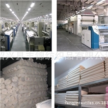 全涤帆布珠帆21+21*1070*4063&ldquo;工装箱包帐篷