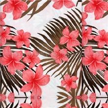 供应全棉20*16128*60纱卡印花布