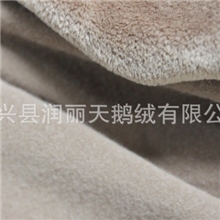 热销推荐弹力不倒绒双层不倒绒纯棉不倒绒