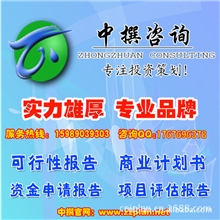 揉面机项目可行性研究报告