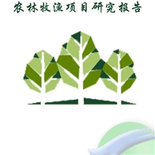 打捆机项目可行性研究报告