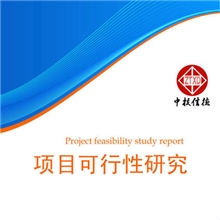 锂离子电池电解液项目投资可行性研究报告(中投信德)