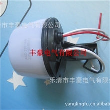 ASO220防雨全自动路灯光控开关可调光感度220V感应开关16A