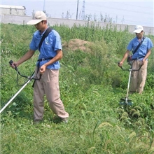 供应背负式本田割灌机，侧挂式本田割灌机