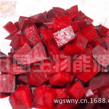 新鲜红甜菜根批发荷兰品种鲜红多汁无白圈