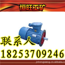 专业维修DSB系列输送机用隔爆型三相异步电动机步电动机