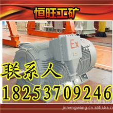 专业维修YB560-800系列高压隔爆型三相异步电动机隔爆电动机