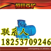 专业维修YB2D系列隔爆型变极多速三相异步电动机三相异步电动机