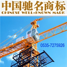 厂家直供12吨（固定式、内爬式、移动式）塔式起重机塔机塔吊