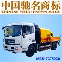 供应车载泵,销售车载泵,特惠价供应车载泵