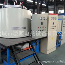 化纤行业真空清洗炉专业清洗过滤芯喷丝板凌源电热专业制造