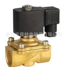 二位二通防水线圈电磁阀2WS1-20/AC220V,DC24V及其他