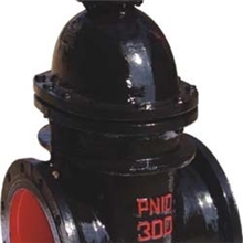 闸阀Z45T-10C暗杆楔式单闸板闸阀DN100永嘉中特制造