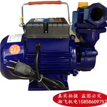 供应550W家用全铜芯自吸泵/550W自吸泵/ZDB550W自吸泵WZB自吸泵