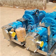 永球不锈钢转子泵/转子泵/食品泵LQ3A不锈钢转子泵LQ3A-3