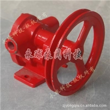 永球皮带轮齿轮泵/齿轮泵/齿轮油泵BP型BP-1/2-C