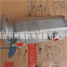 供应HGP-22A-F88L双联定量齿轮泵高压齿轮泵齿轮泵