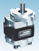 BSHCM/滨海三联CBHZ-F28.2系列齿轮泵10齿花键叉车专用齿轮泵