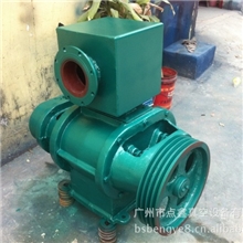 批发供应造纸机械专用罗茨真空泵手动真空泵不锈钢罗茨泵