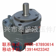 供应低噪音CB-FA-FL25高压泵高压双联泵单级高压齿轮泵