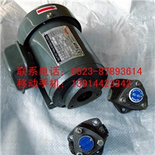 供应泰盛牌小流量齿轮泵小流量泵