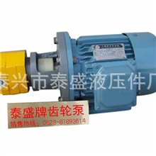 厂家供应BB-B32NJZ.1齿轮泵SXF4.5-5/2润滑泵防爆电机组装置