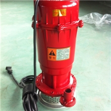 专业生产潜水泵750W