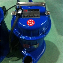 专业生产污水泵