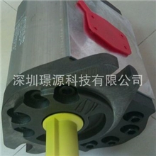 伺服节能油泵，意大利螺杆泵