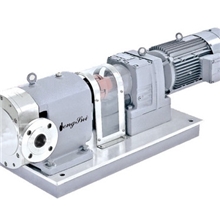 凸轮转子泵立式