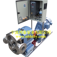 直销广西南宁市变频调速转子泵|柳州转子泵