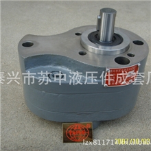 齿轮泵CB-B16CB-B20CB-B25CB-B32油泵泵头