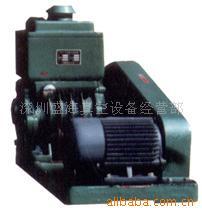 厂家提供用于LED光电电子工艺品上的真空泵真空设备