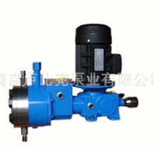 【供应】柱塞计量泵(定量泵，比例泵，加药泵）计量泵