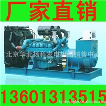 【正品全新】帕欧柴油发电机组/柴油机/发电机/发电机组-300KW