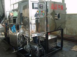 果蔬脆片、冻干海参、甲鱼、名贵海产品-真空冷冻干燥机-烘干设备