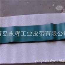 供应梳棉机专用导棉皮圈导棉圈皮带