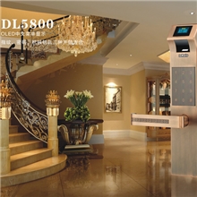 特价SDL5800样品锁