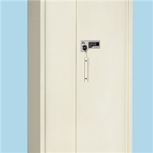 华鼎电子密码文件柜HD502连体双门双斗保密柜