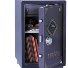 永发领锐电子保险箱FDG-A1/D-68BL3C-1
