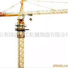 供应铁力士牌QTZ160(6516)型塔吊(图)